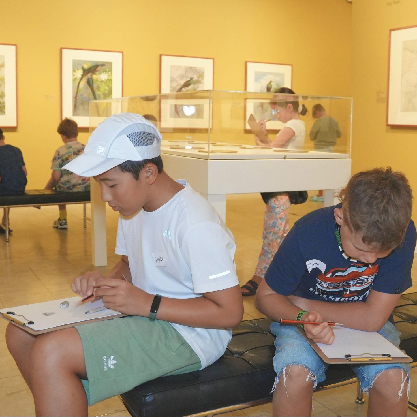 Observational Drawing with Keelie Nicholls, artist, ages 9-14 ...