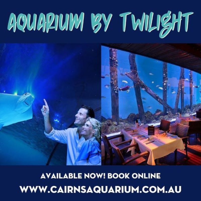 Cairns-Aquarium-by-Twilight-with-Dinner